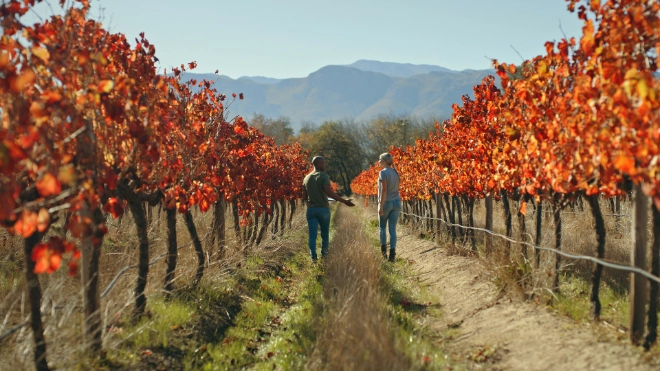 Diverse couple walking through autumn coloured trees
