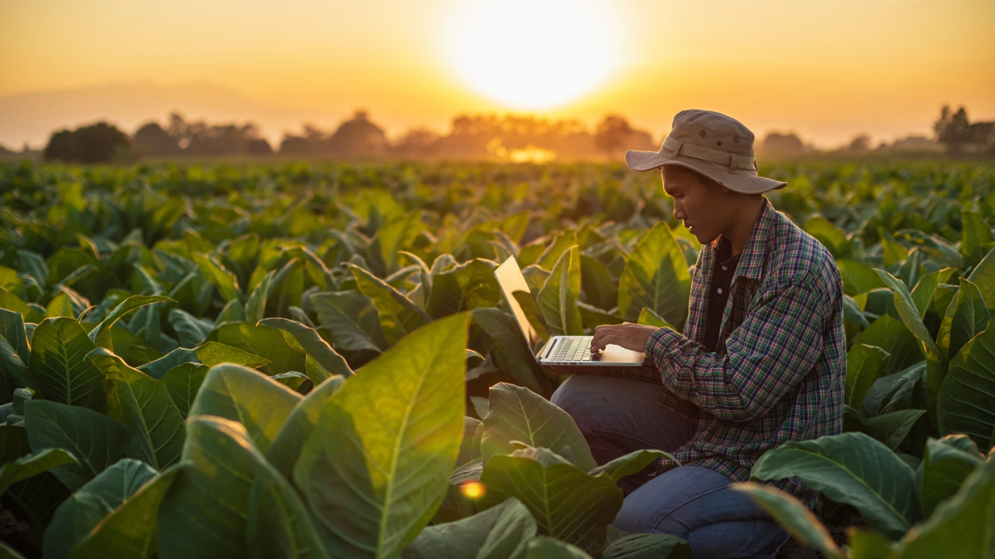 farmer in his field working on his laptop image