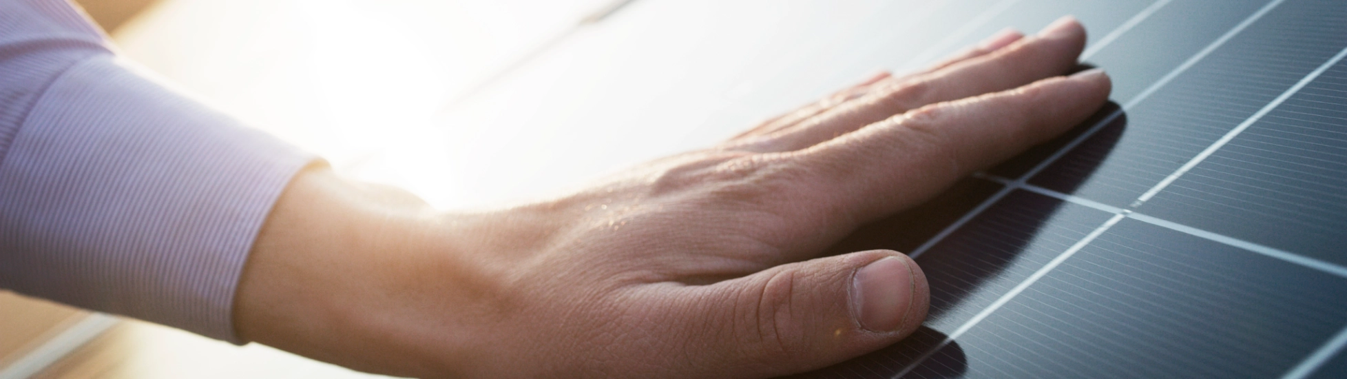 atradius czech special products