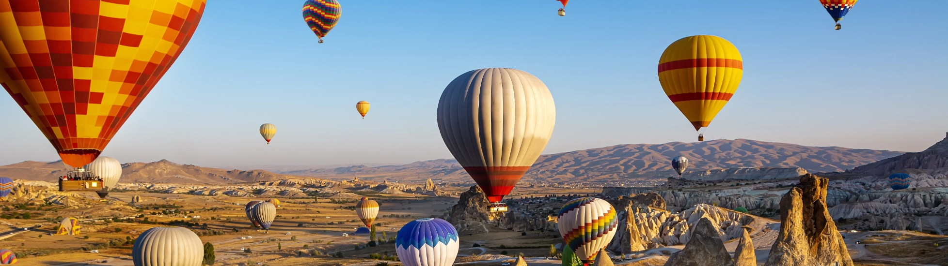 atradius czech multinationals 